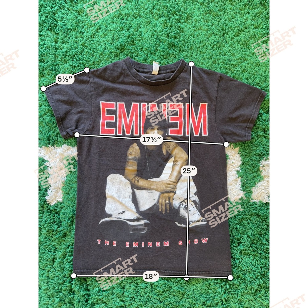Eminem The Eminem Show Graphic T-Shirt Black Alstyle … - Gem